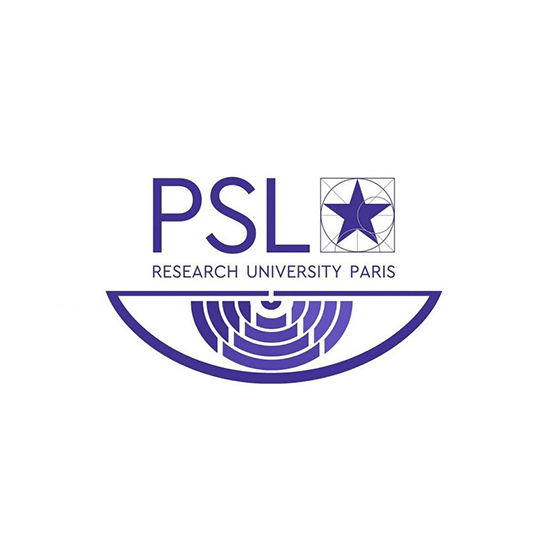 Logo PSL in the eye