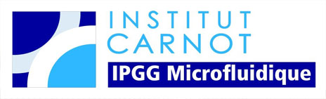 Logo Carnot IPGG Microfluidique