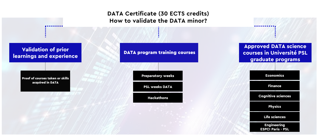 Proof of courses taken or skills acquired in DATA