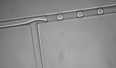 Création d'un train de gouttes dans une puce microfluidique